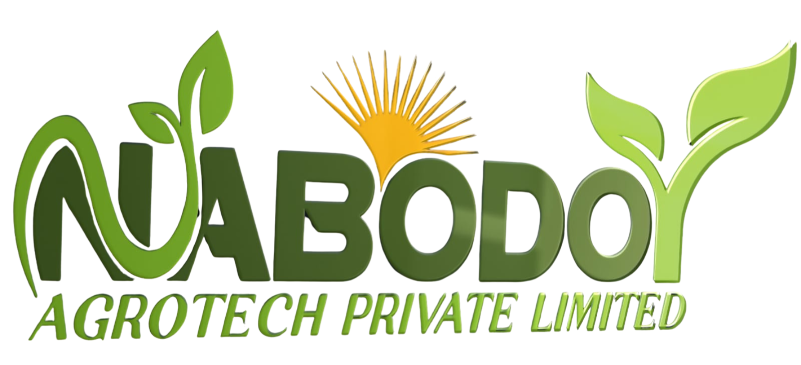 Nabodoy Agrotech Private Limited